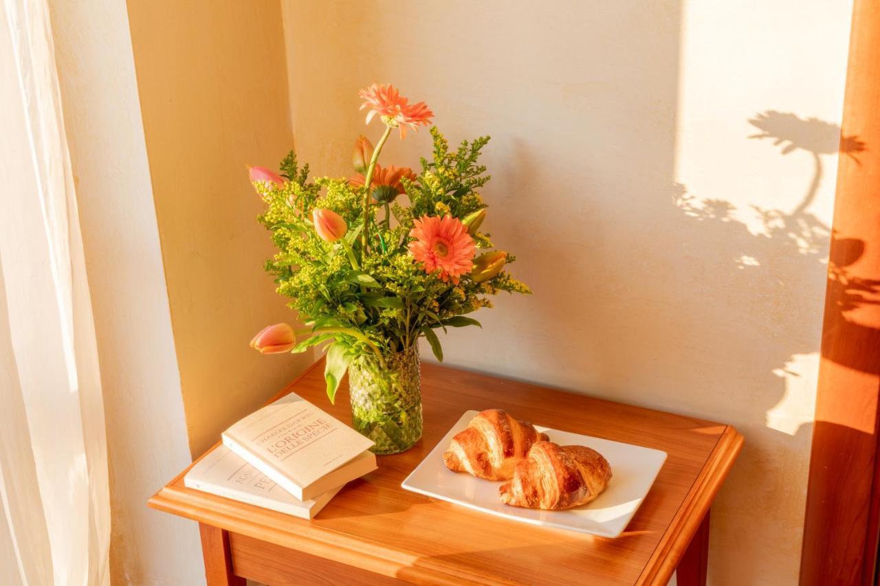 B&B Puerto Seguro Πίτσο Εξωτερικό φωτογραφία